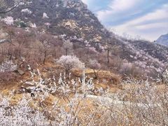 -大岭沟猕猴桃谷风景区
