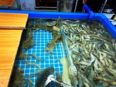 -青岛蓝海大饭店·爱琴海自助餐厅(崂山店)
