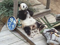 -大连森林动物园