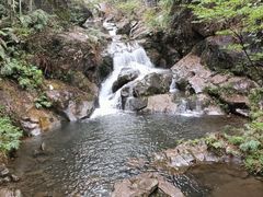 景点-千泷沟大瀑布旅游区