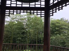 -大渡口区义渡公园