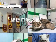-半岛宠物医院24小时(科华中路店)