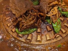 -小牛哈尼章鱼水煎肉(金鹰店)