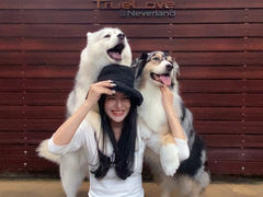 -TrueLove @ Neverland (Husky Cafe)