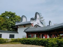 -广东花都湖国家湿地公园