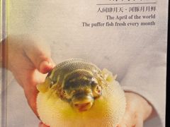 -肆月河豚·新淮扬菜·烤鸭(中关村店)
