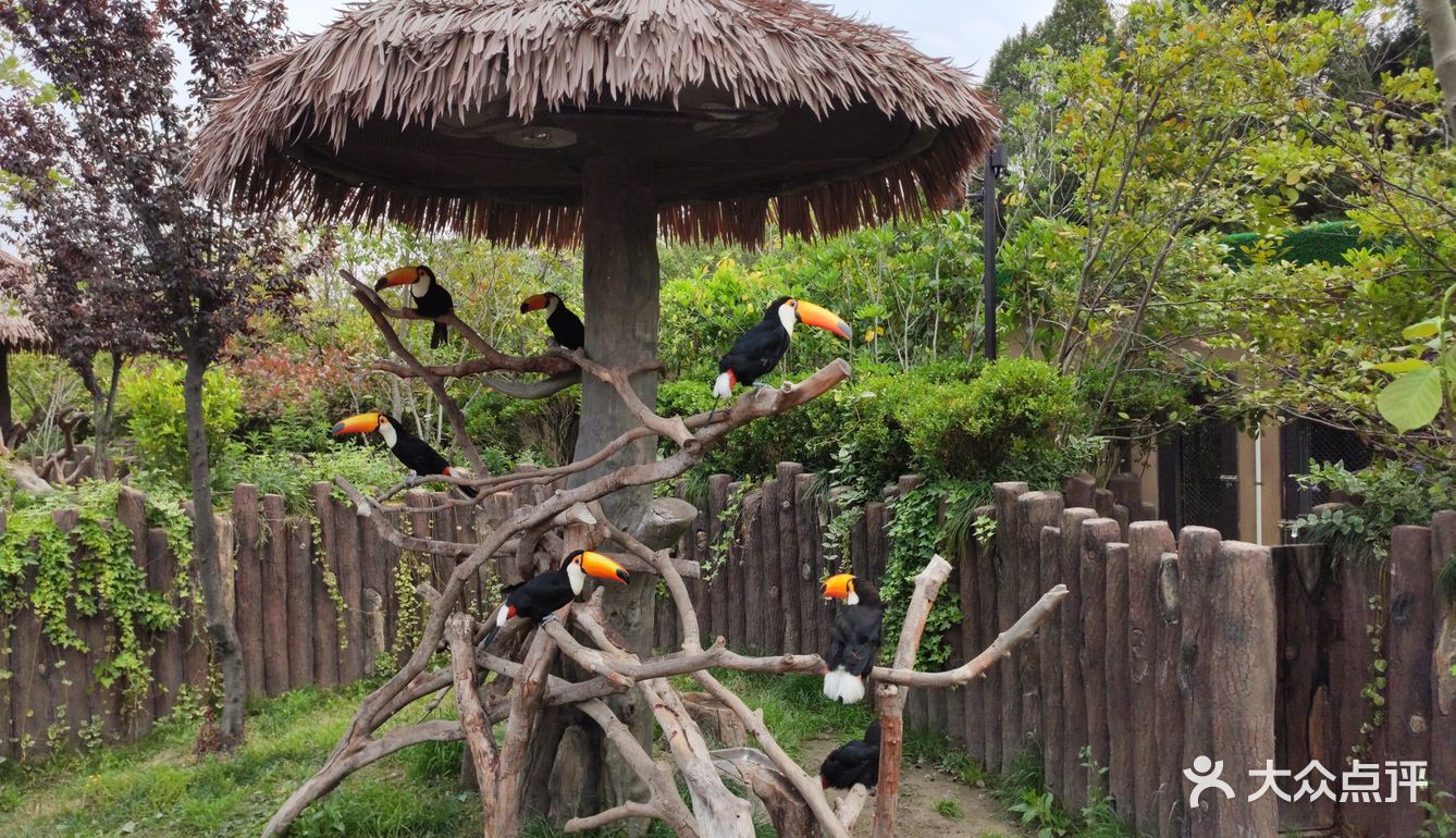 2020年上海去哪儿