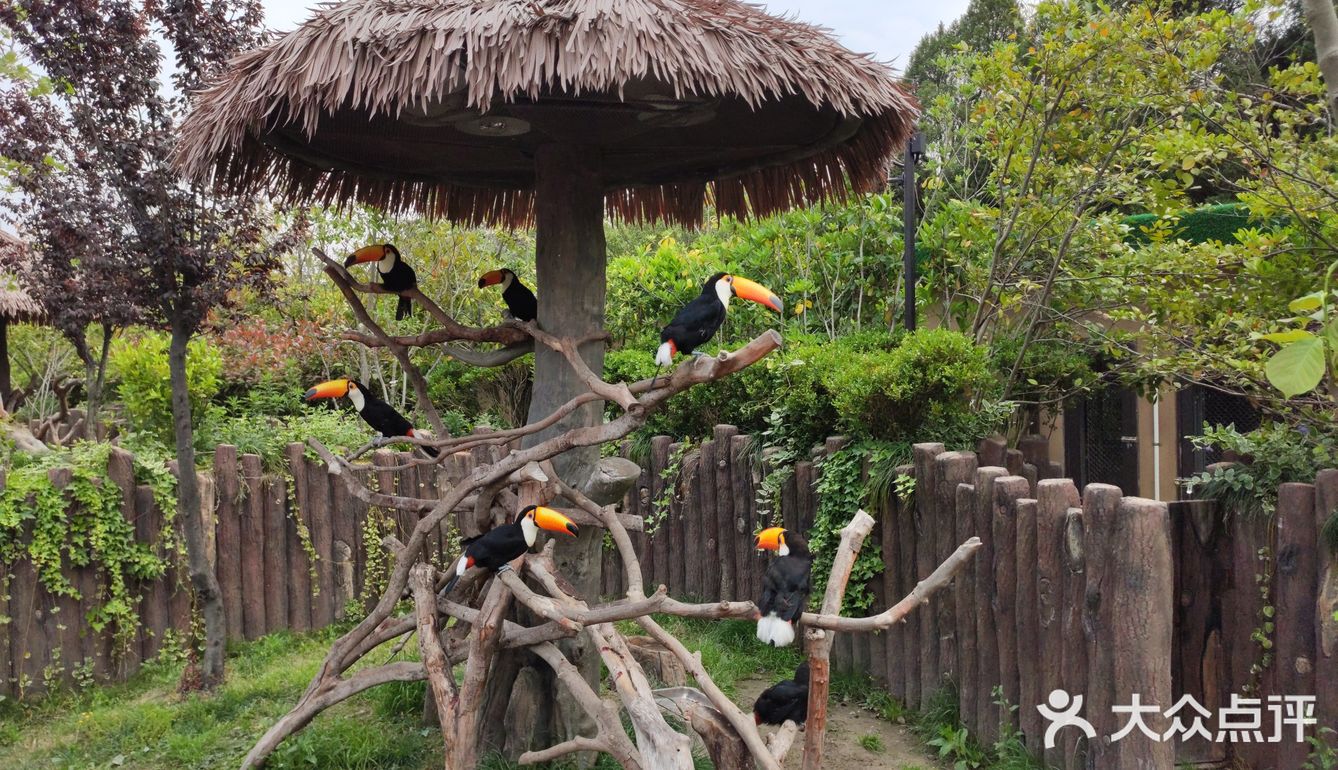 2020年上海去哪儿