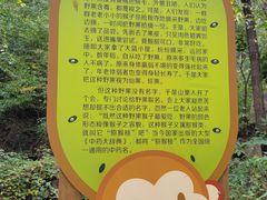 -大岭沟猕猴桃谷风景区