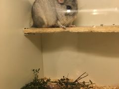 -龙猫仔乐园(惠福东路店)