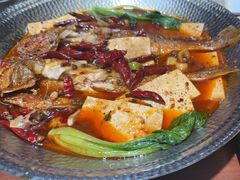 -小杨烤肉(朱雀店)