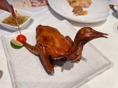 -侨美食家·40年地道粤菜(珠江新城店)
