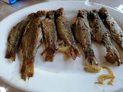 -鹏城人家海鲜酒家·23年老字号(较场尾店)