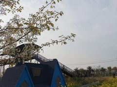 -绵阳盛世樱花悠乐谷