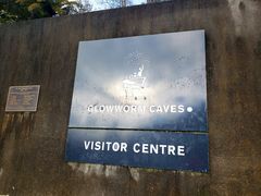 -怀托摩萤火虫洞