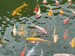 -镇江中国醋文化博物馆