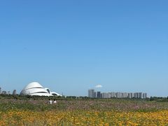 -哈尔滨大剧院