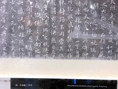 -天一阁博物院