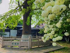 -常熟方塔园
