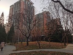 -南长河公园