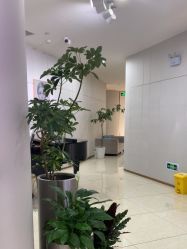 -AIST爱思特医疗美容医院