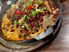 -老板恋上鱼(高新万达店)