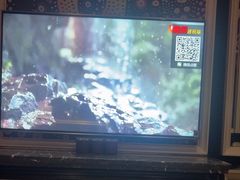 -自由港KTV(王子公主金平店)