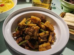 -三强鸽子(中原路店)
