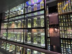 -广东中医药博物馆
