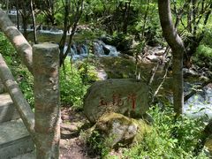 -牛背梁国家森林公园