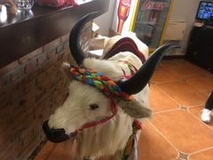 -后院犇牛主题餐厅(云岗店)