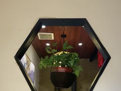 -蘇河湾·新鲁菜·泰山宴老店