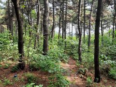 -沈阳辉山风景区