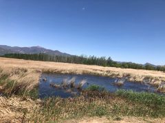 -野鸭湖国家湿地公园