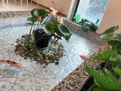 -ins森林童话餐厅coffee&bistro