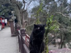-五凤溪古镇