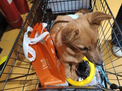 -MARSMART PETS火星宠物超市(1733店)