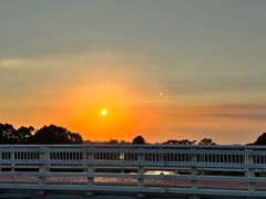 -伟记牛肉(金鸿公路店)