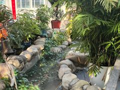 -后湖小院·乡野田园菜