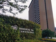 -三亚湾红树林度假世界(木棉酒店)