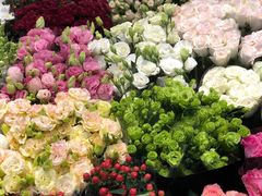 -双季花艺园艺市场(浦东店)