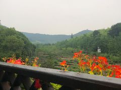 -旺山·浪头人家