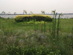 石家庄动物园-石家庄市动物园