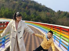 -江西景德镇玉田湖国家湿地公园