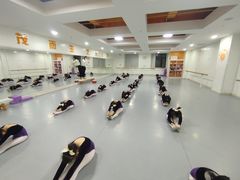 -西安小天鹅艺术团(金花路校区)