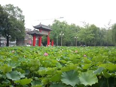 -四川大学(望江校区)