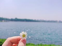 -丁香湖公园