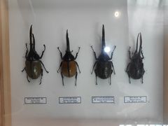 -吉林省自然博物馆
