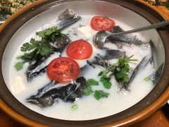 -全乐鱼馆·淳牌有机鱼直营店