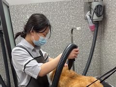 -宠物家(角门东店)